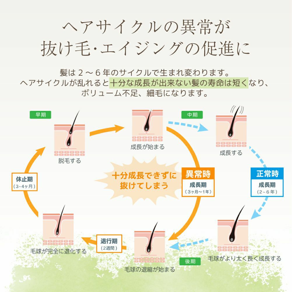 プライマリ スカルプケアローション 頭皮・抜け毛ケア | エルゴン公式