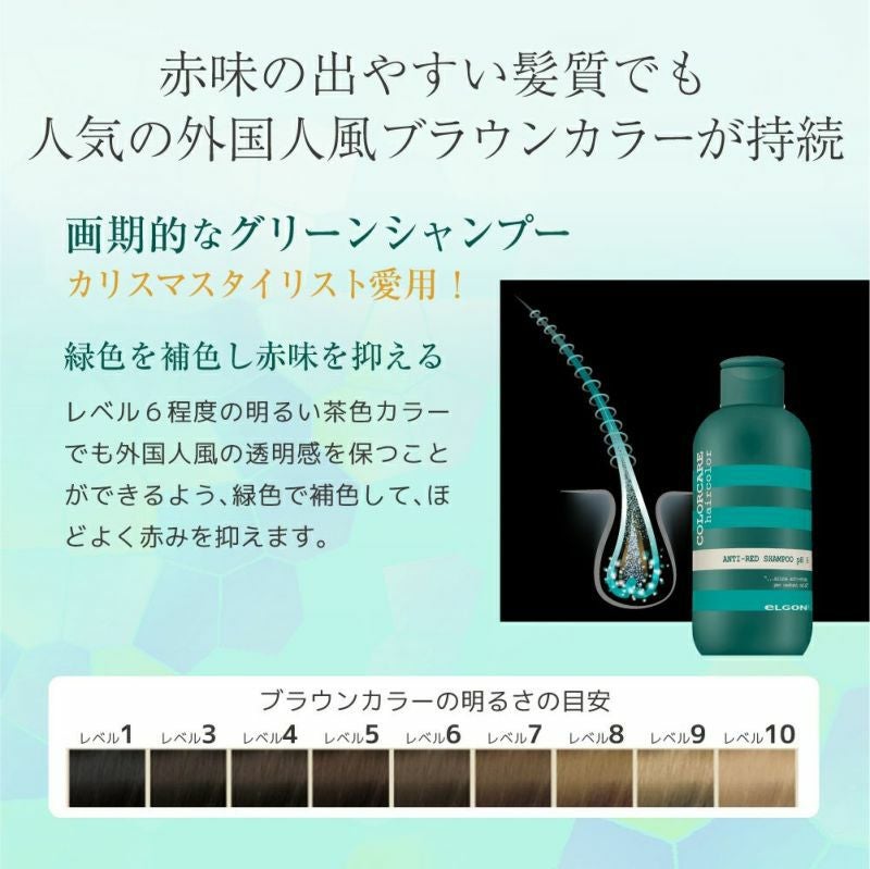 エルゴン公式ショップ | エルゴン カラーケア | シルバーシャンプー