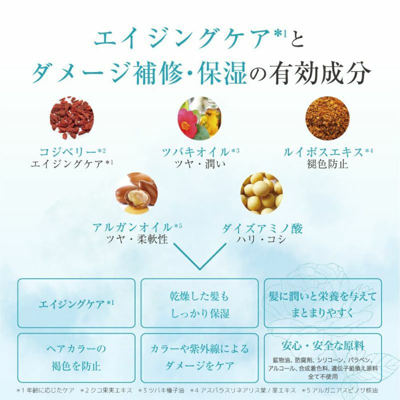 エルゴン公式ショップ |DD|DDシャンプー