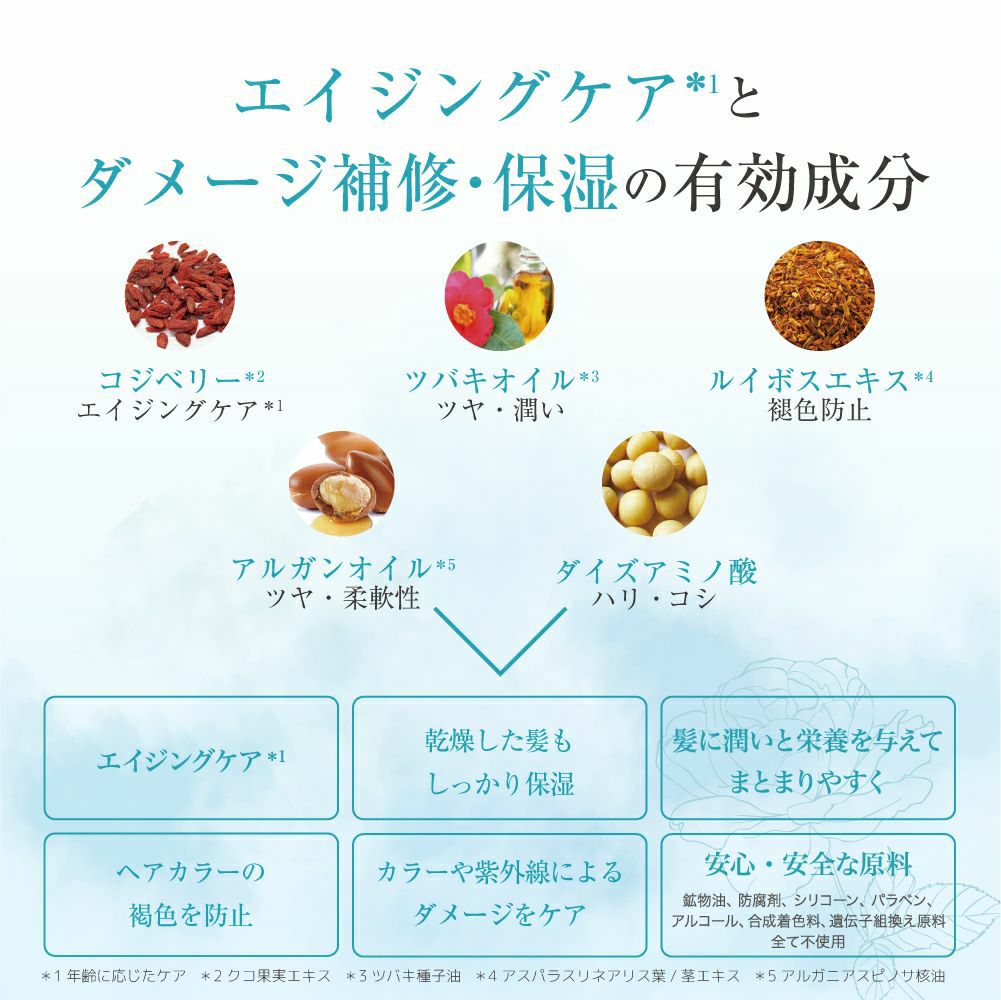髪の香水”モデルを虜にする香り DD スターターキット - エルゴン公式