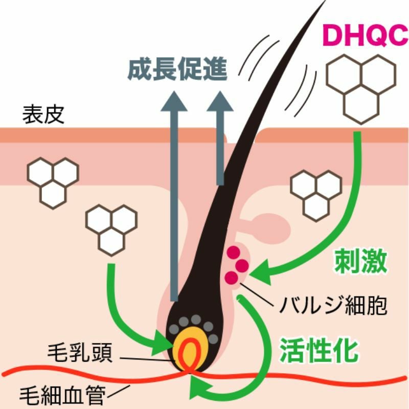 エルゴン プライマリ トライアルセット 白髪ケア 頭皮 体験