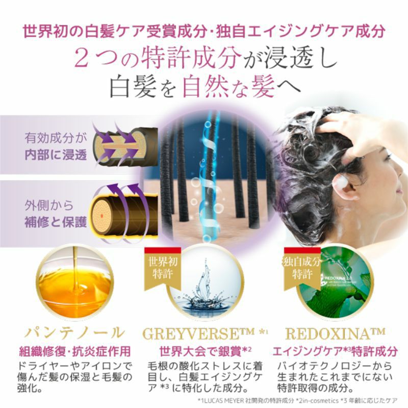 アンチグレイ シャンプー&トリートメントセット 白髪ケア | エルゴン