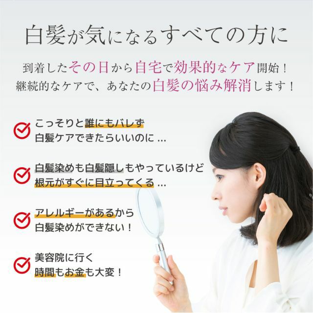 エルゴン アンチグレイ パーフェクトセット 白髪 エイジングケア 効果