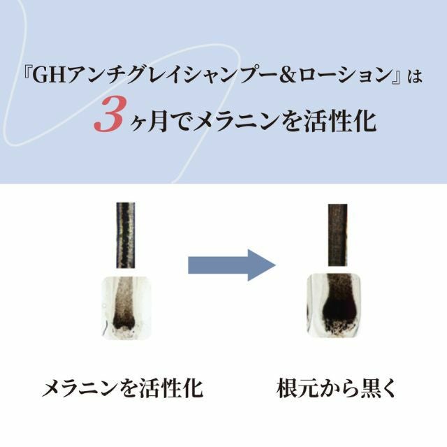 アンチグレイトリートメント レフィル 使い方 詰め替え方法